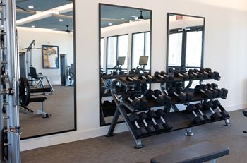 A gym with a mirror on the wall and a rack of dumbbells at The Crest at South Point Apartments, Davenport , Georgia